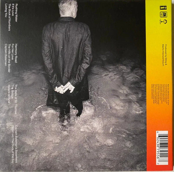 Sting – The Bridge - Music Madness